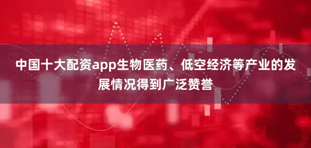中国十大配资app生物医药、低空经济等产业的发展情况得到广泛赞誉