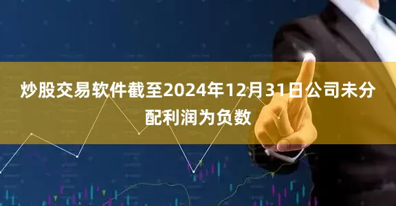 炒股交易软件截至2024年12月31日公司未分配利润为负数
