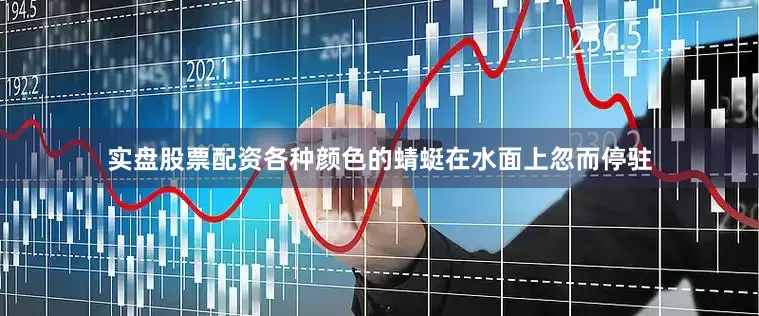 实盘股票配资各种颜色的蜻蜓在水面上忽而停驻