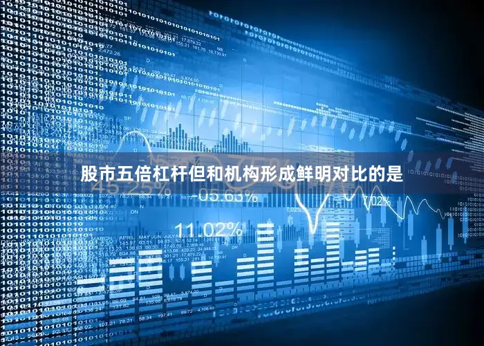 股市五倍杠杆但和机构形成鲜明对比的是