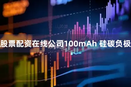股票配资在线公司100mAh 硅碳负极
