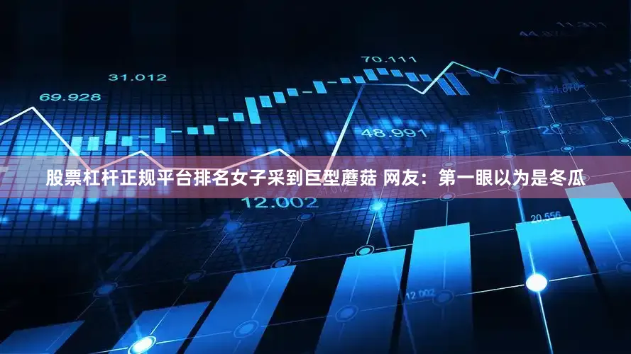 股票杠杆正规平台排名女子采到巨型蘑菇 网友：第一眼以为是冬瓜