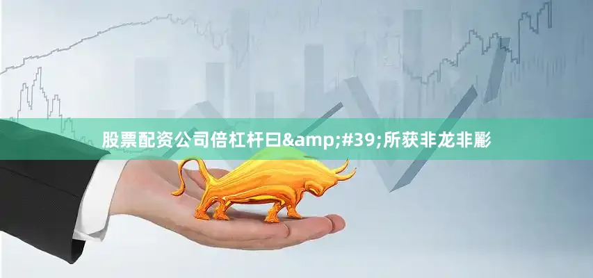 股票配资公司倍杠杆曰&#39;所获非龙非彲